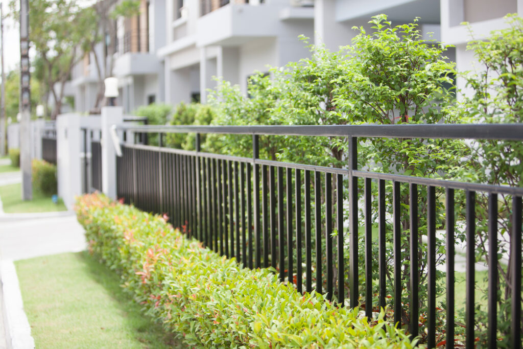 black fence with green tree