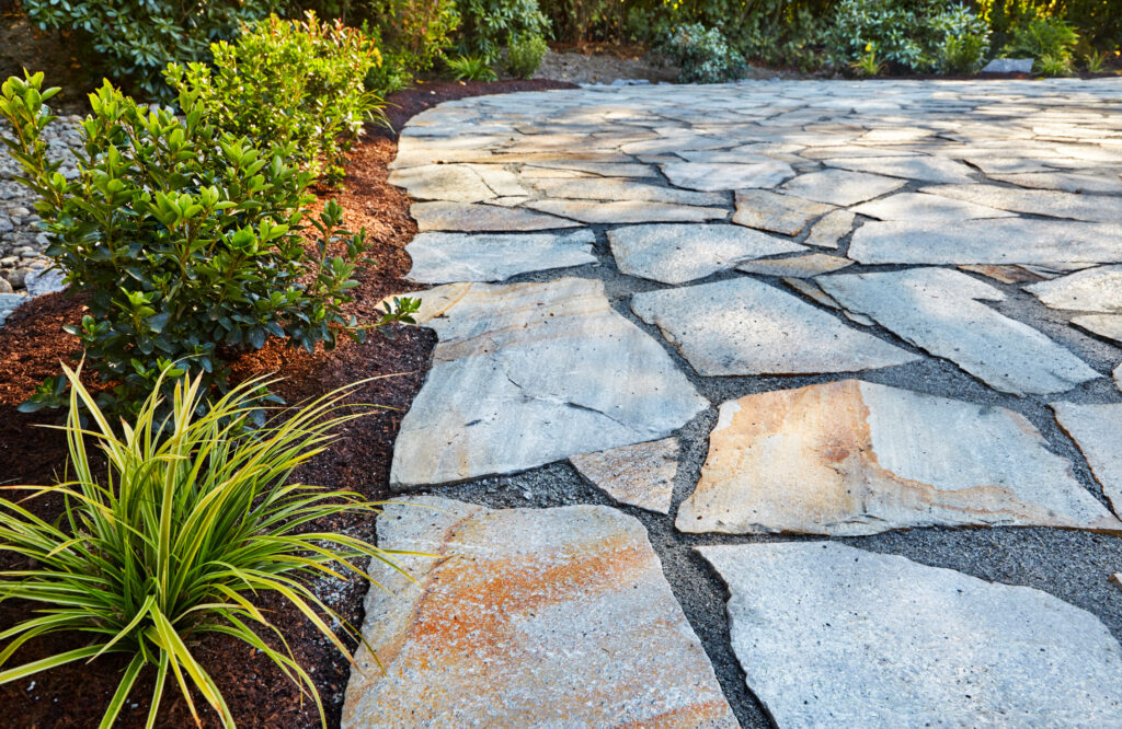 Shrubs transplanted along the edge of a new stone patio